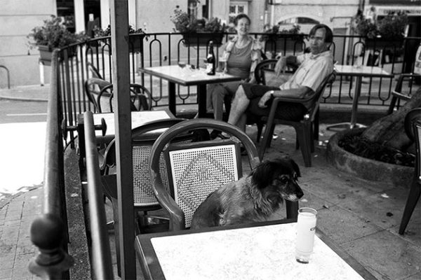 Bar des Amis, Cadenet