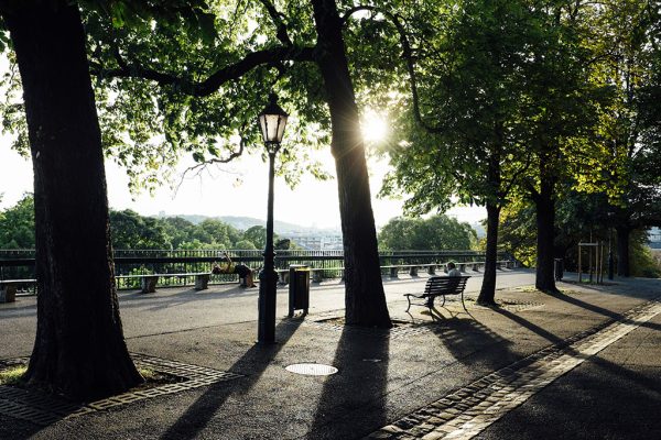 Promenade de la Treille