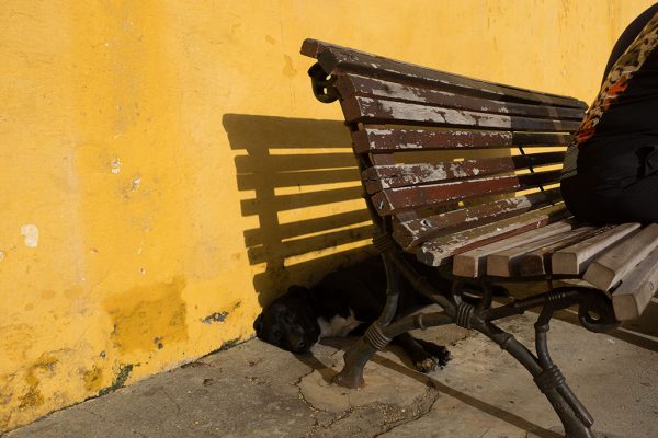 Funchal