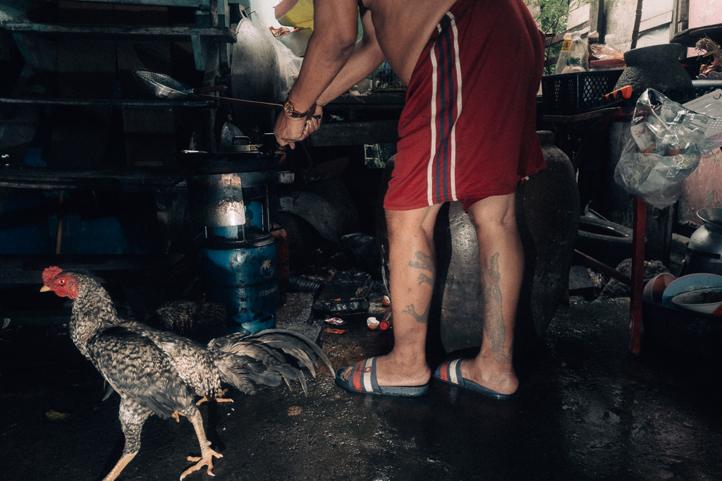 Use left and right keyboard arrows to navigate