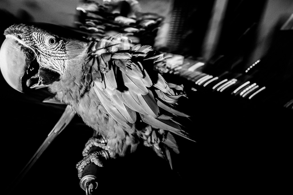 Use left and right keyboard arrows to navigate