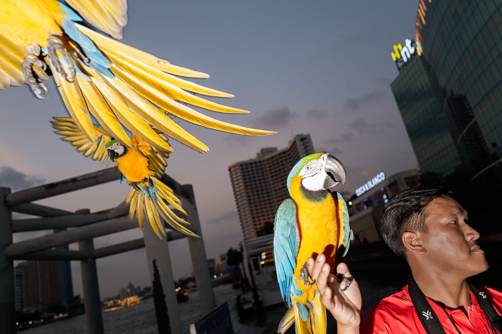 Use left and right keyboard arrows to navigate