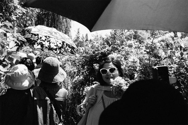 Le jardin de l'eau