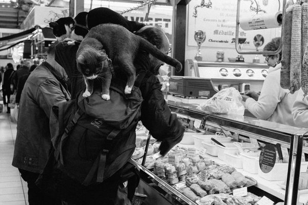 Les Halles