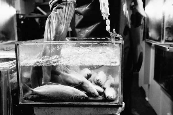 Incheon Complex Fish Market