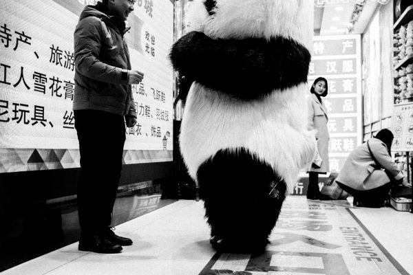 Shanghai | 上海