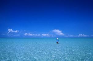 Great Barrier Reef, Australia