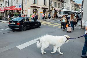 Rue du March