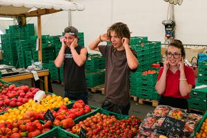 F?te de la Tomate, Carouge