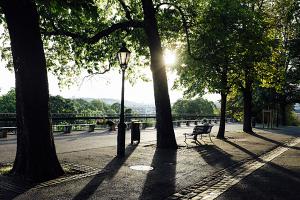Promenade de la Treille