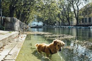 Annecy