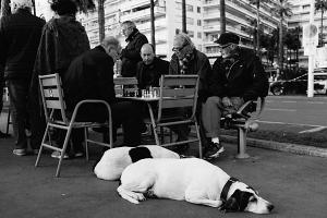 Boulevard de la Croisette, Cannes