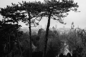 Parc de Belleville