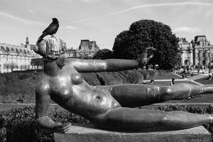 Jardin des Tuileries