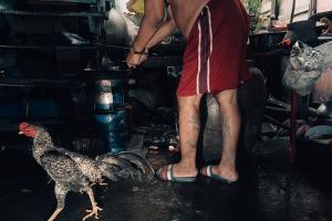 Rim Thang Rotfai Sai Pad Rio